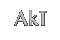 Akt